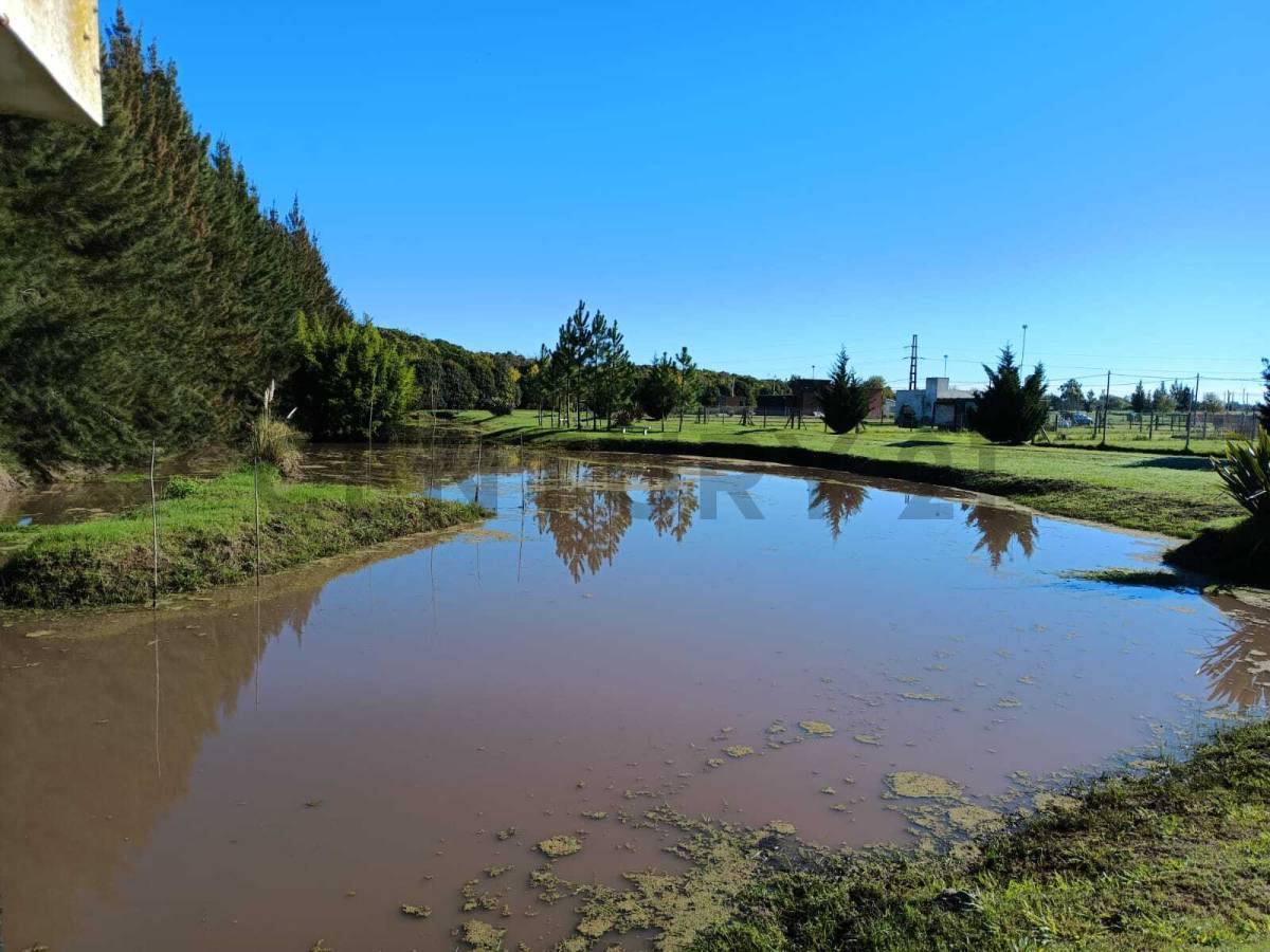 Lote de 1.033 m² en Eduardo Arana, foto 2
