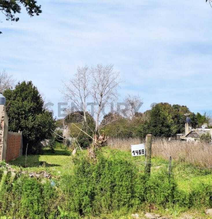 Lote de 530 m² en La Plata, foto 2
