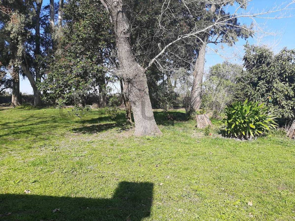 Quinta de 1 dormitorio en Villa Parque Sicardi, foto 3