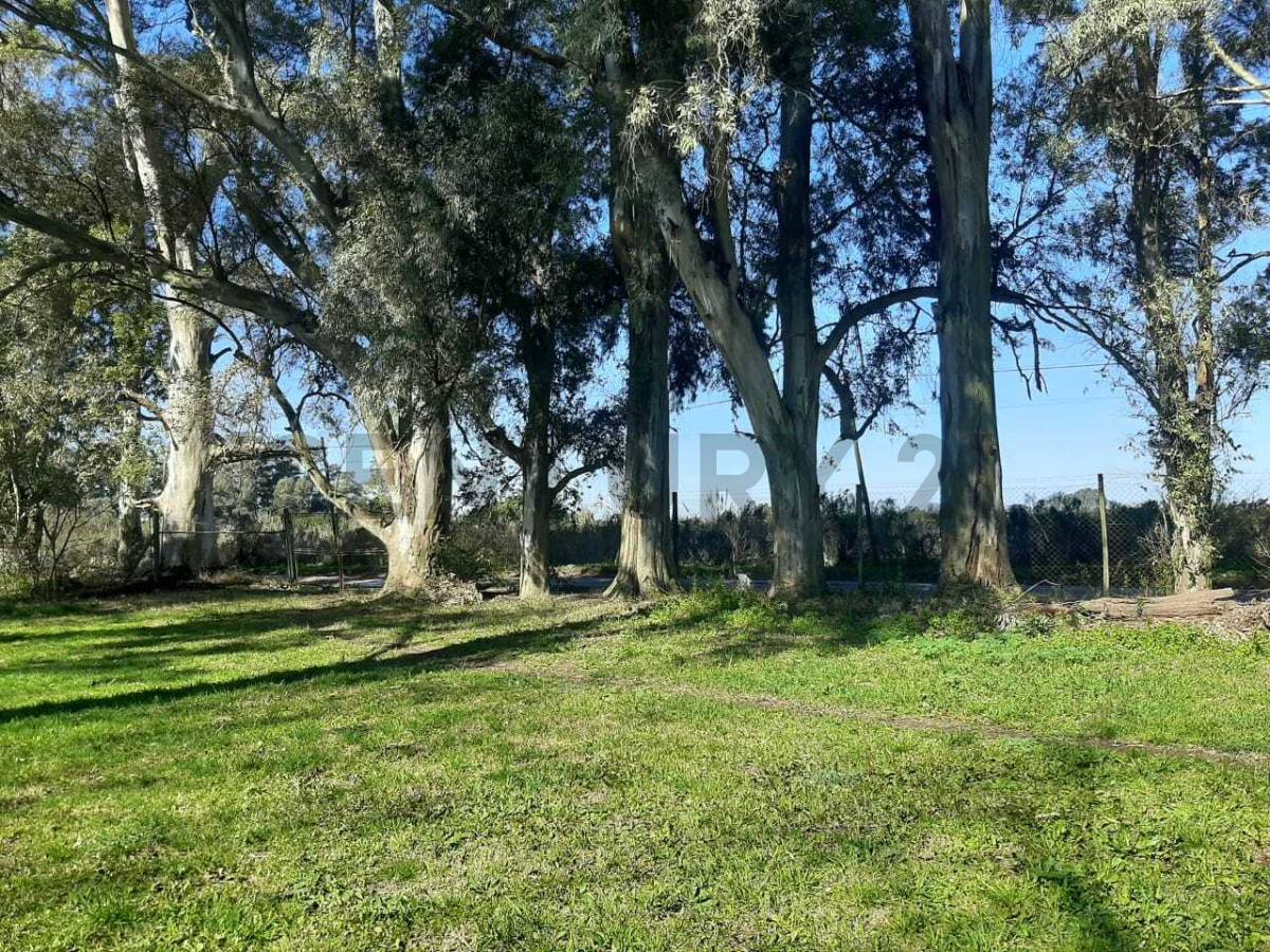 Quinta de 1 dormitorio en Villa Parque Sicardi, foto 5