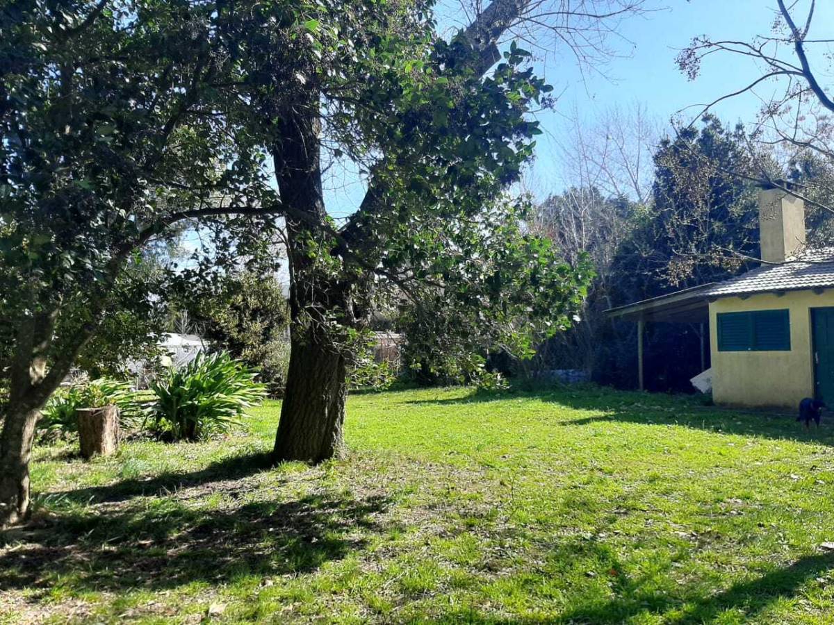 Quinta de 1 dormitorio en Villa Parque Sicardi, foto 2