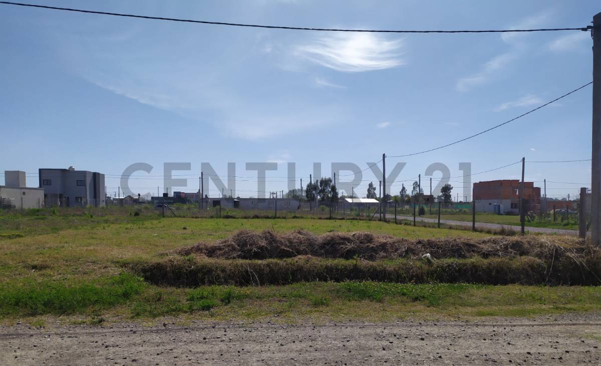 Lote de 600 m² en La Plata, foto 3