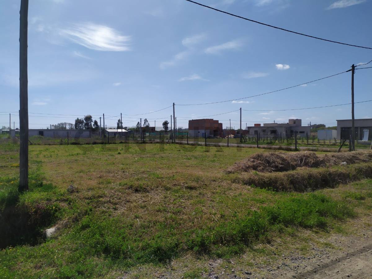 Lote de 600 m² en La Plata, foto 2