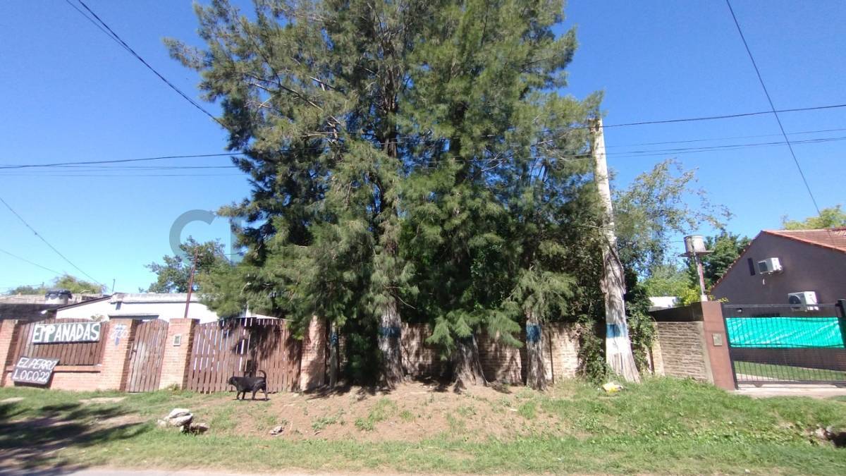 Lote de 300 m² en La Plata, foto 3