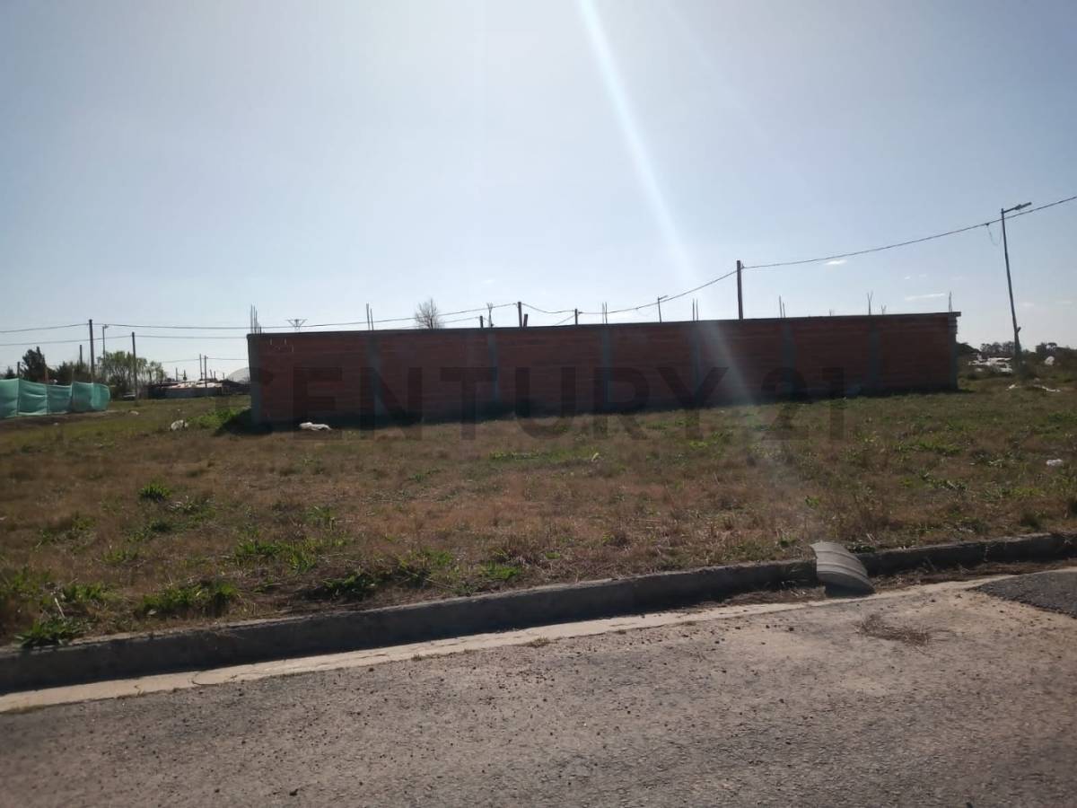 Lote de 282 m² en Villa Garibaldi, foto 3
