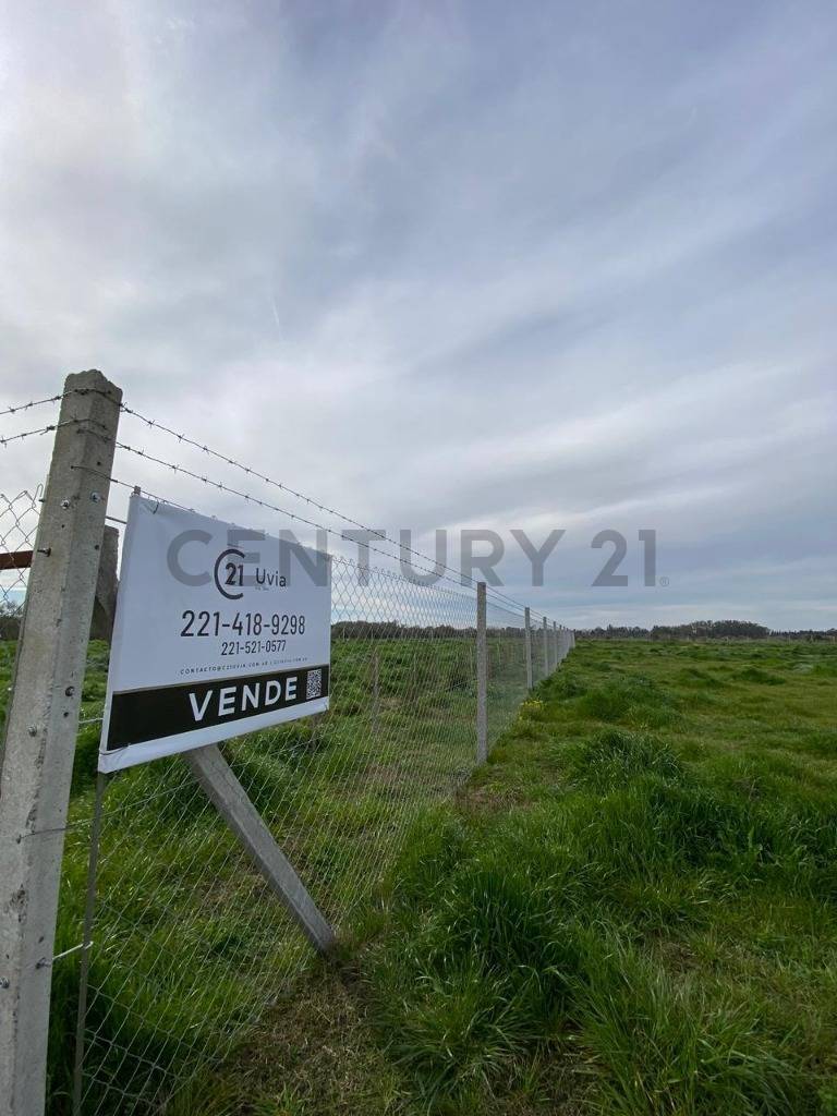 Lote de 2.427 m² en Berisso, foto 5