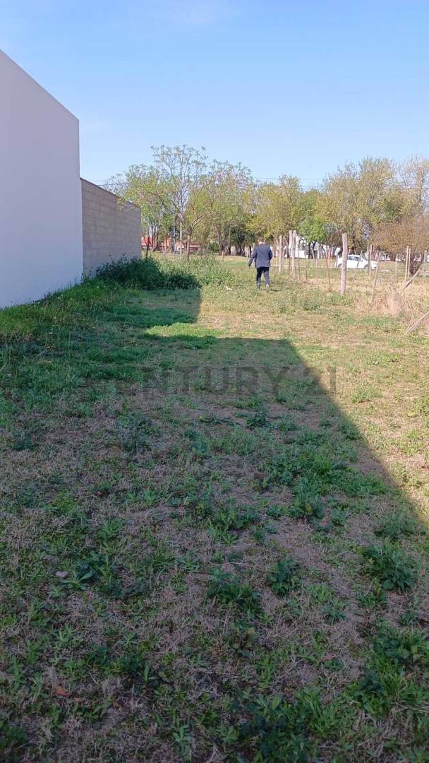 Lote de 238 m² en Rosedal, foto 5