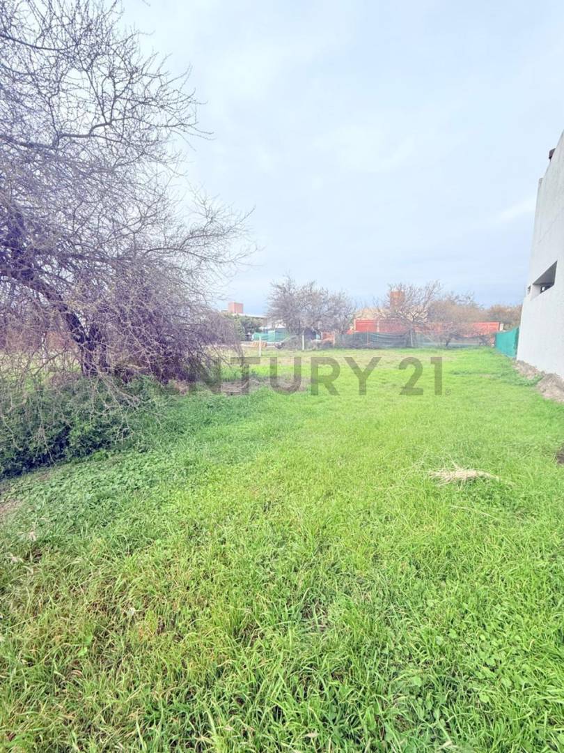 Lote de 513 m² en Río Ceballos, foto 3