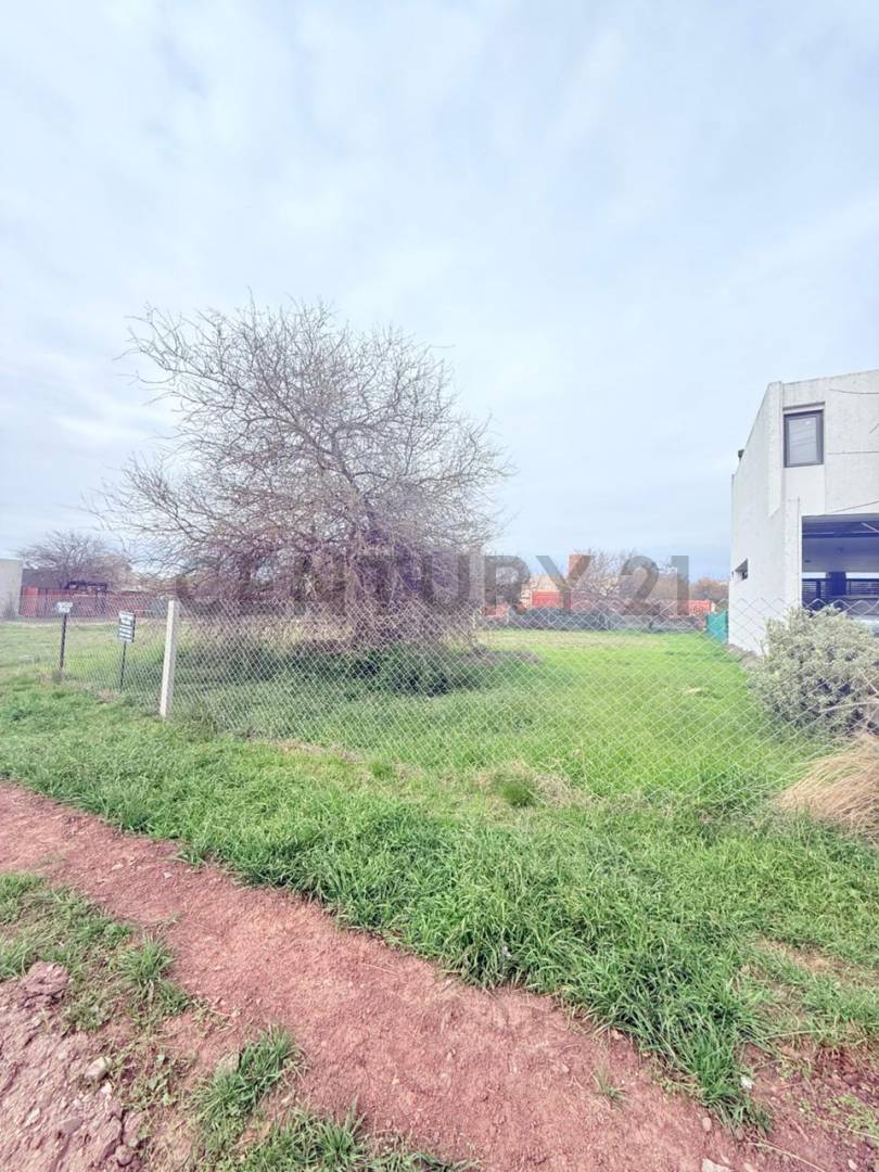 Lote de 513 m² en Río Ceballos, foto 2