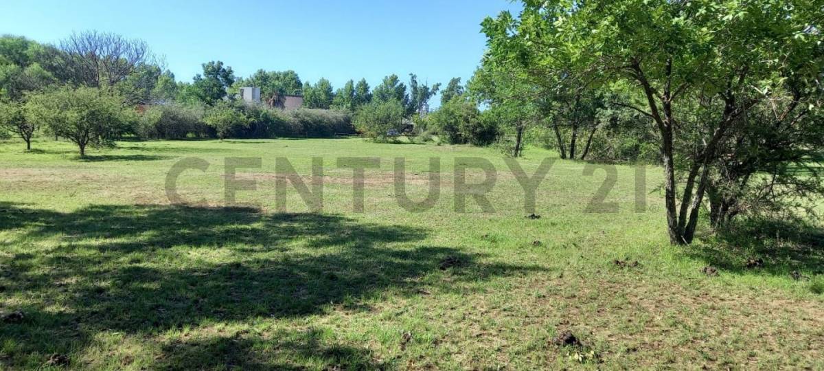 Lote de 6.828 m² en Villa Parque Santa Ana, foto 3