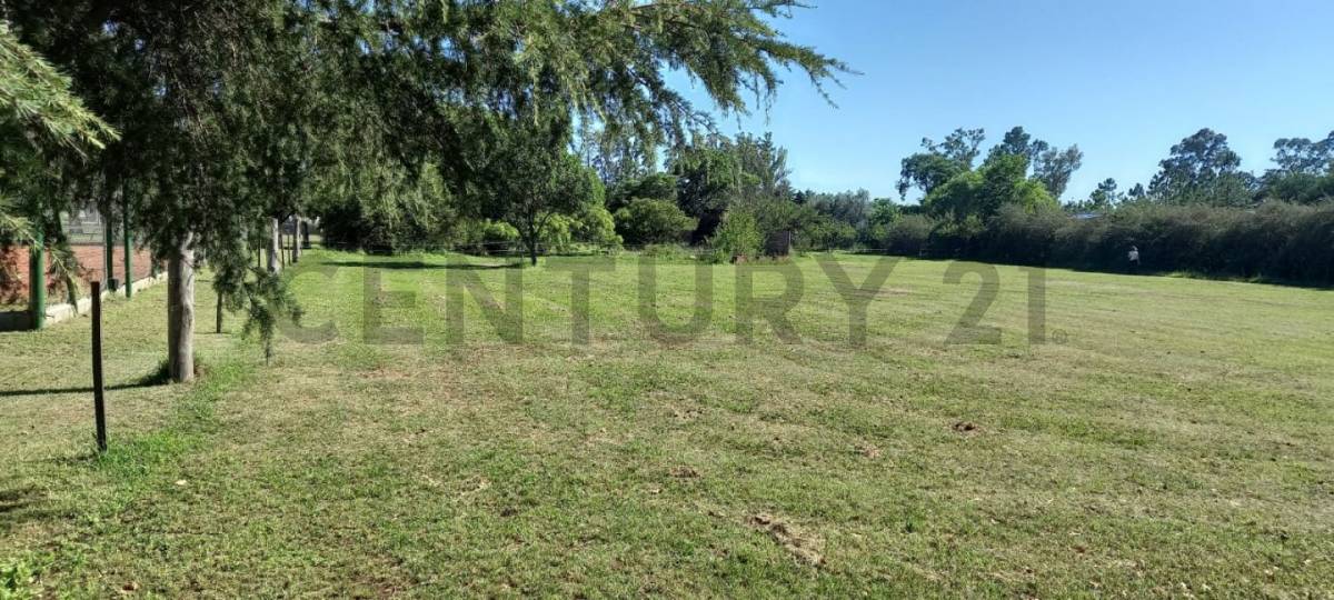 Lote de 6.828 m² en Villa Parque Santa Ana, foto 2