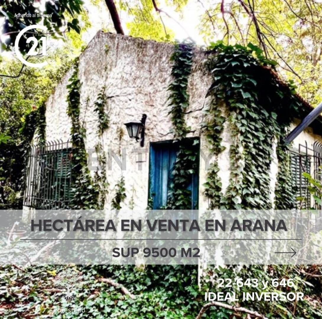 LOTE EN VENTA