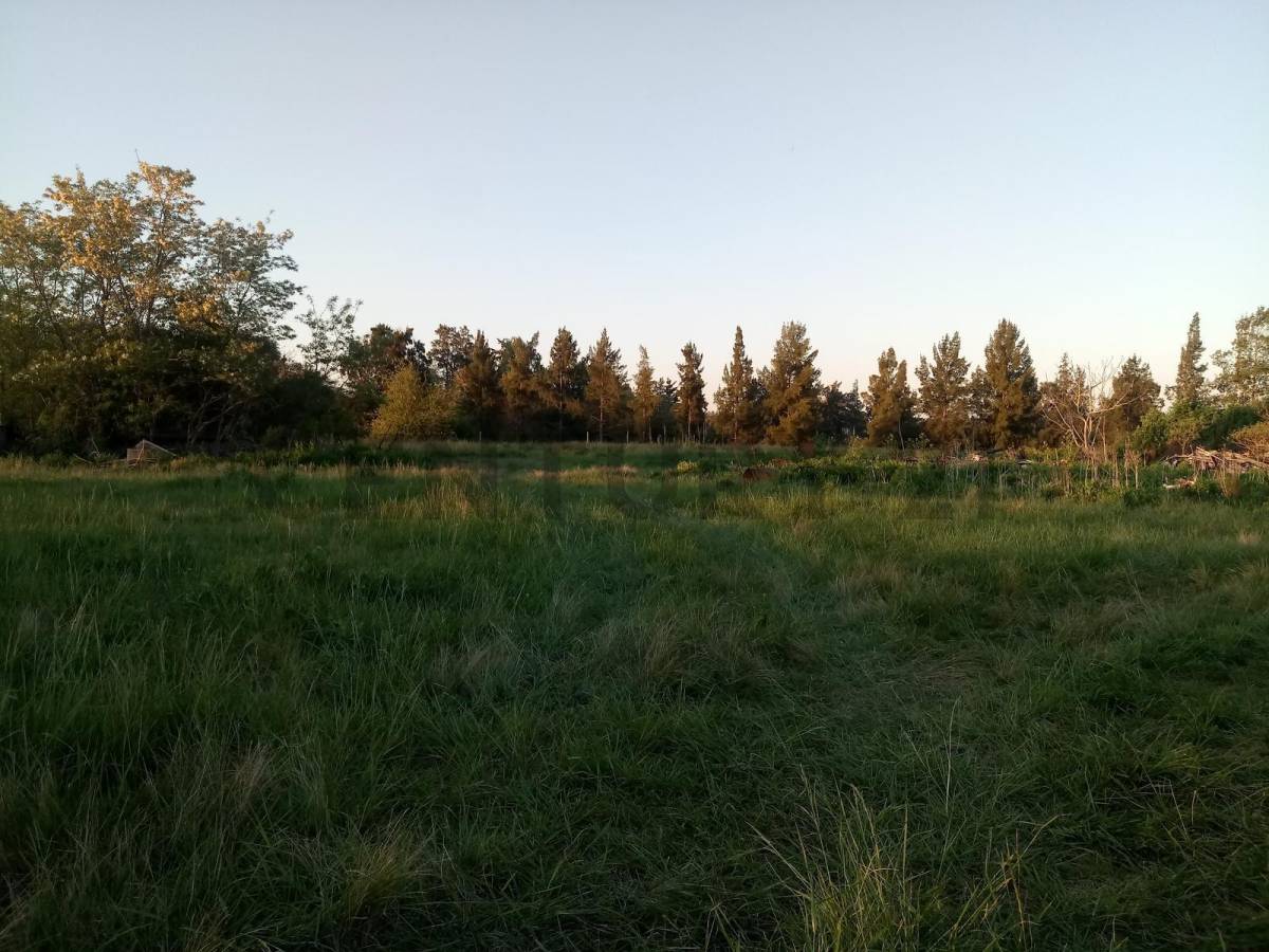 Campo en venta