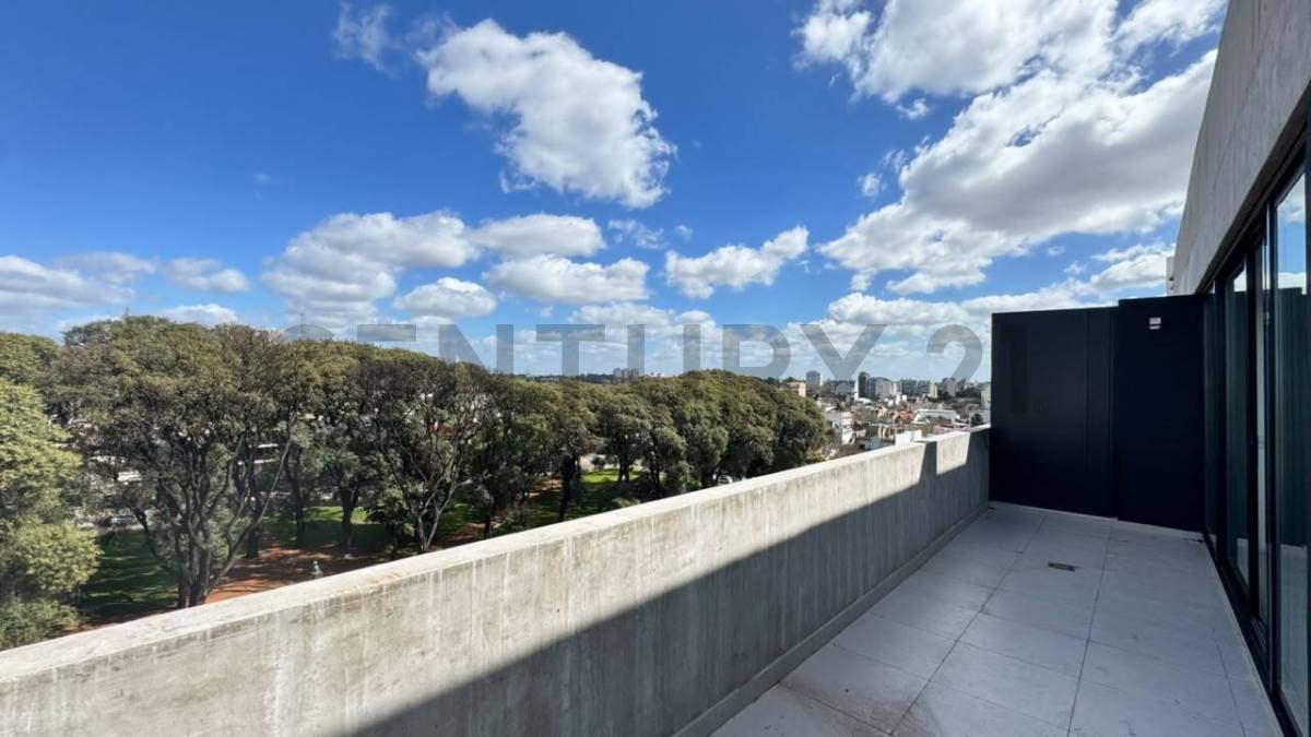 Venta 2 ambientes frente al parque con gran terraza privada, parrilla y vista abierta - Saavedra, a