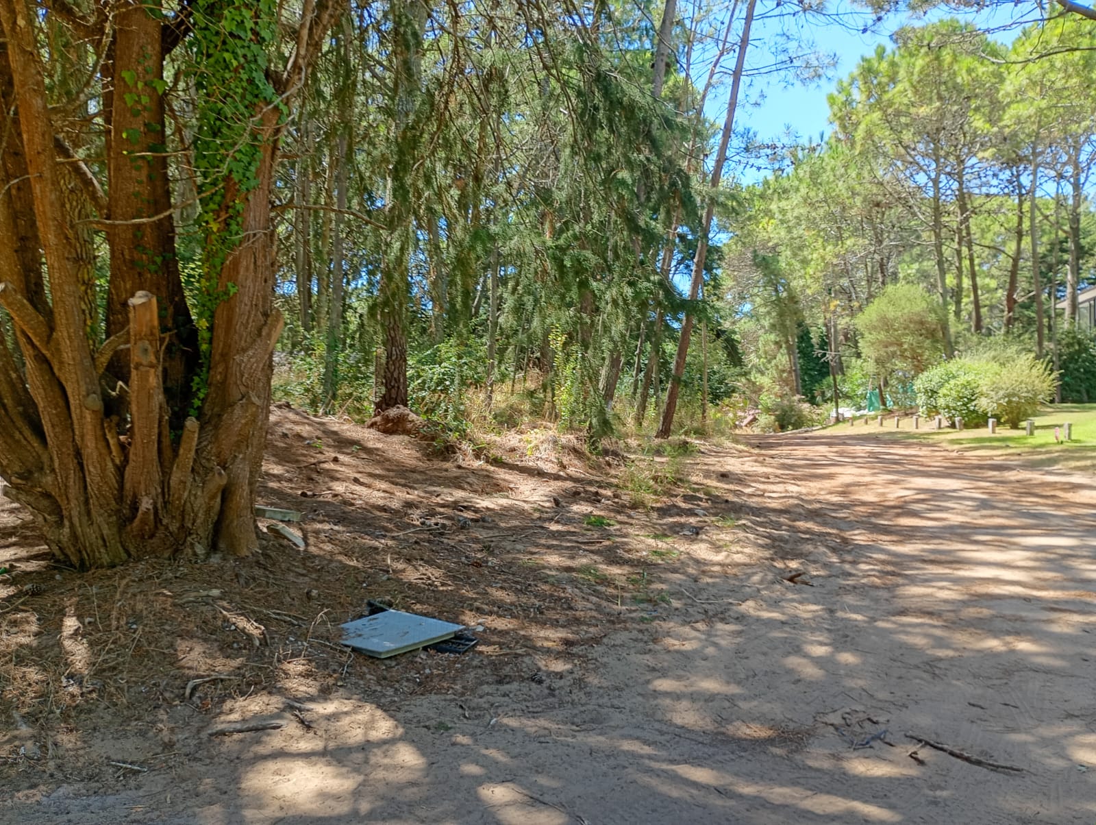 Lote de 1.297 m² en Cariló, foto 2
